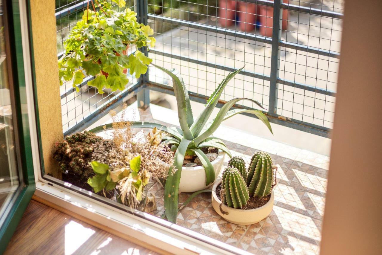 #stayhere - Spacious&Bright 1BDR Apartment Shopping District Vilna Exterior foto